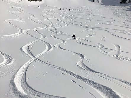 Skiing Ahrntal
    